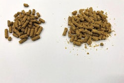 pellet-quality-in-broiler-feed