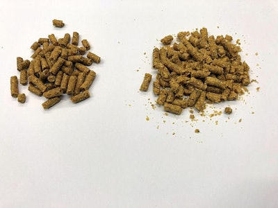 Pellet Quality In Broiler Feed