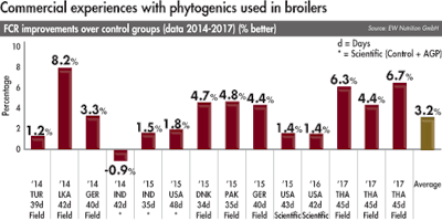 phytogenics used in broilers