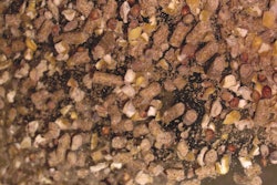 poultry-feed