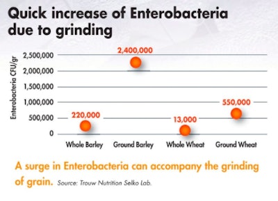 Salmonella-table1