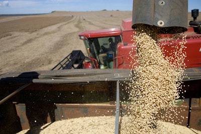 soybean-harvest