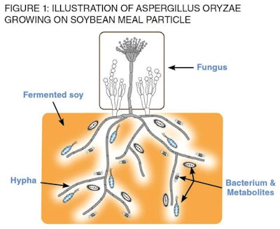 soybean meal particle