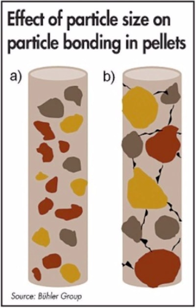 Figure 3: Fine particles act like glue, achieving high pellet quality (a), while coarse particles can be a source of fracture in the pellet and lead to low pellet quality (b). (Courtesy Bühler Group)
