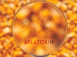 Mycotoxins-and-climate-change1