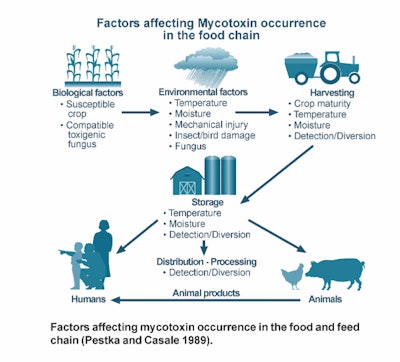 Factors affecting mycotoxin occurrence in the food chain (Courtesy Council for Agricultural Science and Technology, CAST)