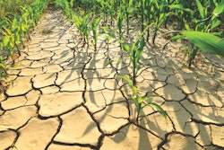 climate-change-impact-feed-stuffs