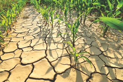 climate-change-impact-feed-stuffs