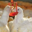 (Zhang Yongxin | iStockPhoto.com)
