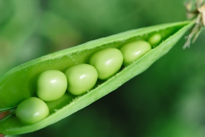 Beautiful Close Up Of Green Fresh Peas And Pea Pods. Healthy Foo