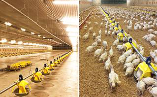 Prullage_Test_Titan_Website.jpg_343819735