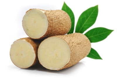 Fresh Cassava Root Isolated On White Background