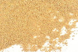 animal-feed-formulation-broiler-feed