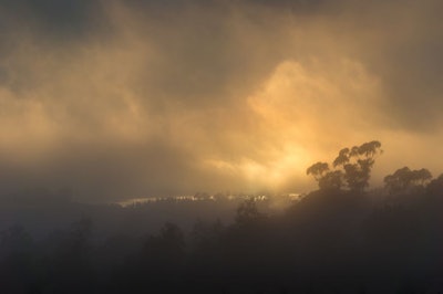 Wildfire Smoke Background At Sunset. Massive Smoke From Bushfire