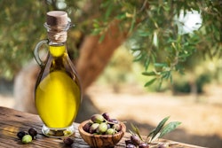 Bottle of olive oil and olive berries are on the wooden table un