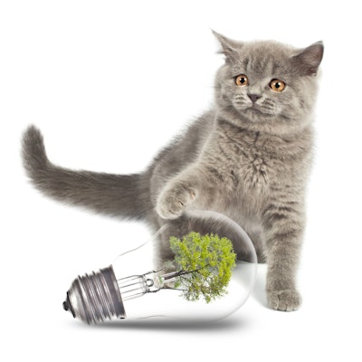 (Vlad_star | Bigstock.com)