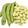 fava-beans