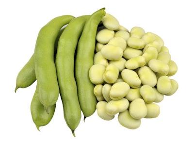 fava-beans