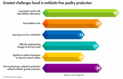 Unreliable antibiotic alternatives, high feed additive costs and a lack of buy-in on individual farms continue to challenge poultry producers’ antibiotic-free production efforts. (WATT Global Media)