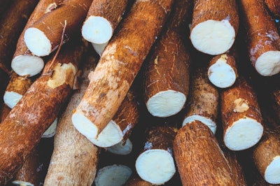 cassava-root-cut