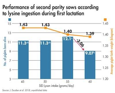 Sows with the highest lysine intake during lactation had a lower number of piglets born alive the following pregnancy. (J. Escobar et al. 2018; unpublished data)