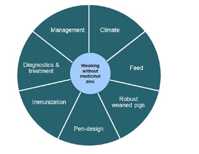 A multi-factorial approach is required to ensure weaned pigs are super healthy to require no zinc oxide in their post-weaning feeds, especially now that they are also deprived from prophylactic antibiotic usage. (Courtesy Danish Pig Research Centre)