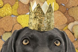 The Dog Treat Company’s treats (approved of by Weimaraner Penelope Pearl Pedersen, AKA Penny, pictured) highlight the company’s desire to provide all-natural, hand-baked options with simple ingredients to dogs all over the world. | Courtesy The Dog Treat Company