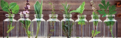 In addition to emission-reducing properties, plant extracts have antioxidant, antibiotic and other co-benefits. (kerdkanno | iStockPhoto.com)