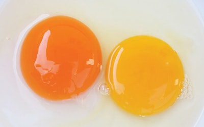 Adding paprika to layer rations makes them produce eggs with deep orange yolks. (Courtesy Amir Cahaner)