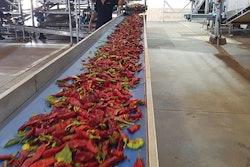 paprika-processing-facility