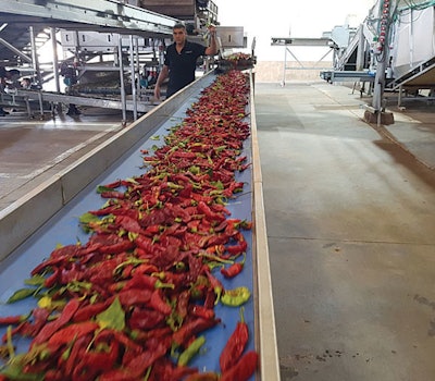 paprika-processing-facility