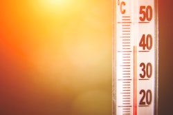 heat-stress-in-livestock