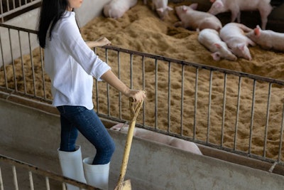 Young Farmer With Shovel Working In In Organic Farm Pig. Agricul