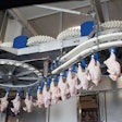 In-line weighing machines allow the plant operators to collect more data about what they are processing and achieve better results. (Courtesy Marel Stork Poultry Processing B.V.)