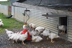 In 2020, Perdue Farms achieved its goal of providing outdoor access in 25% of chicken houses (Perdue Farms).