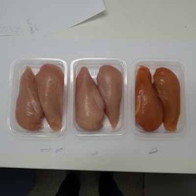 novel-protein-meat-study