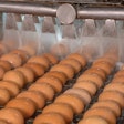 Food safety is a critical part of egg production and it is essential in providing consumers with a safe and healthy product. (chayakorn76, BigStock.com)