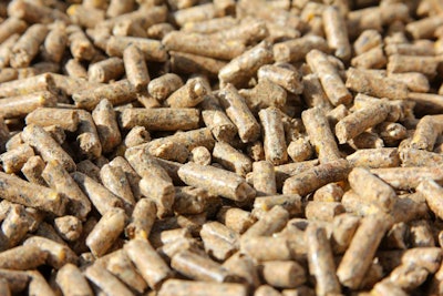 Close up of animal feed in pellet form