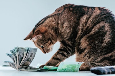 (zaretsky.andrey | BigStock.com)