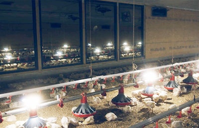 (Tyson Foods)
