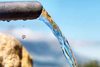 Water is an often overlooked aspect to successful poultry growing. (PhotoSky I Shutterstock.com)