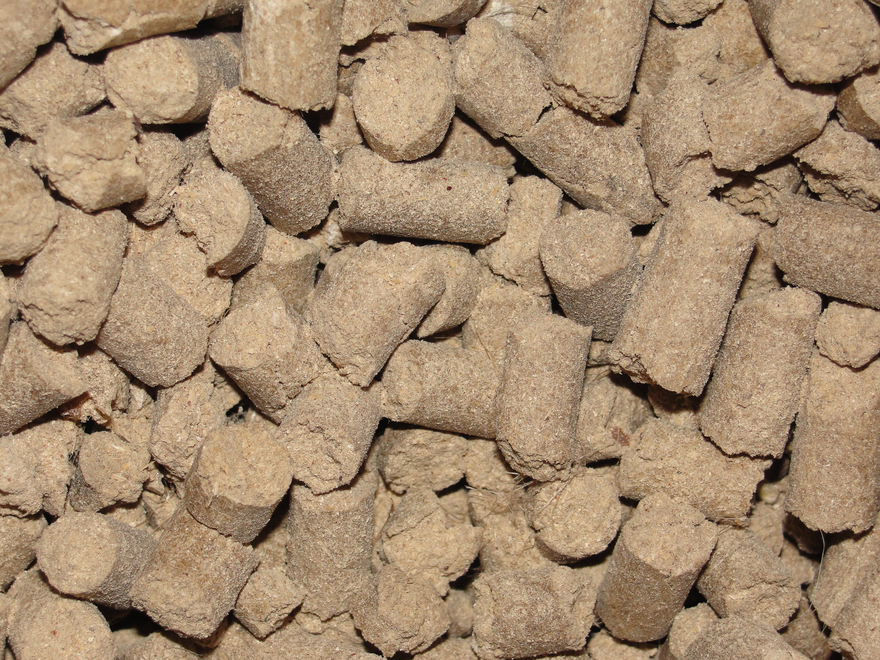 A view of cattle feed