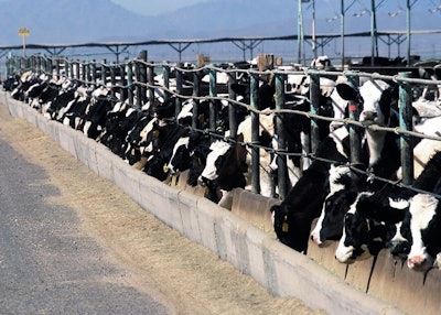 Cattle feedlot 868032 1280