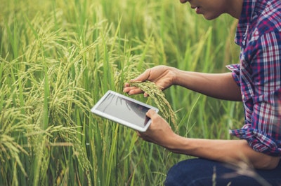Farmer rice technology