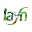 Layn logo2