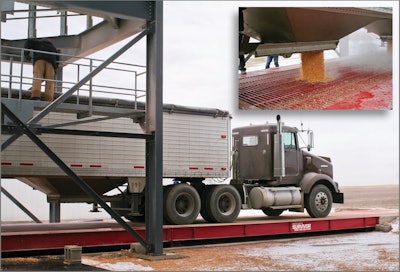 Otr graindump feedgrain small 109416881