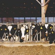2020-dairy-feed-production-outlook