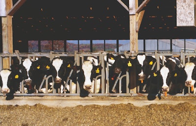2020-dairy-feed-production-outlook