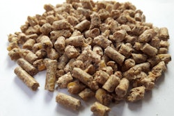 feed-pellets-for-poultry