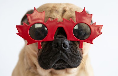 et owners in Canada love their pets, and there is nuance to how they feed their animals depending on where they live. | (Lori Beneteau | Shutterstock.com)